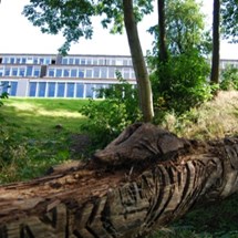 Park7.JPG
