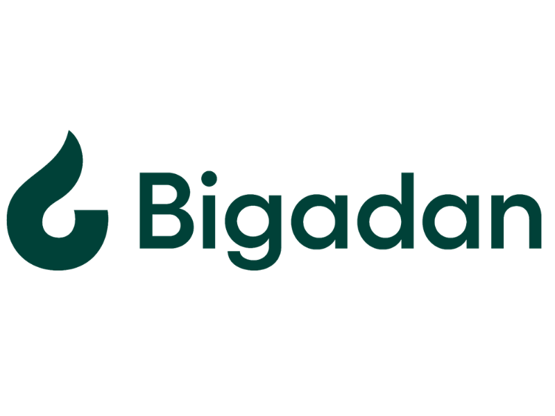 bigadan-logo